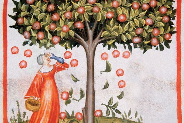 Image from Tacuinum Sanitatis, Medieval Health Handbook, dated before 1400