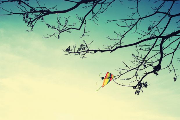 Kite Kite