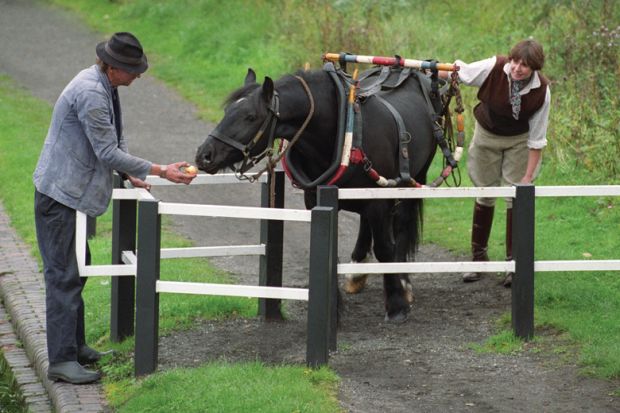People using apple to coax horse through gate People using apple to coax horse through gate
