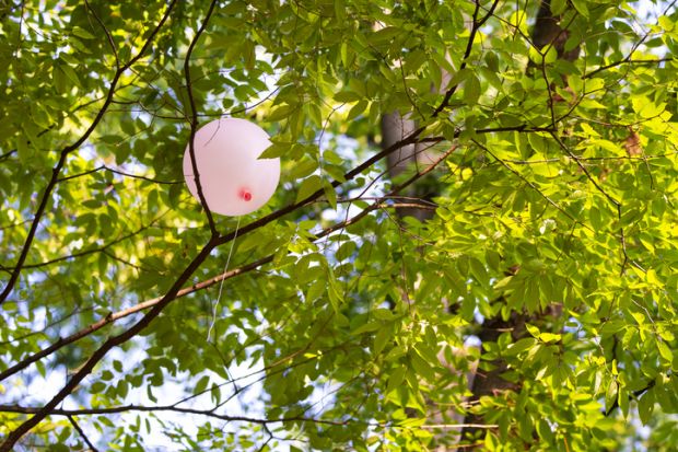 Pink balloon stuck in tree branches