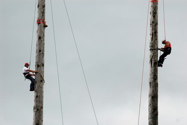 Pole climbing competition, Royal Welsh Show Pole climbing competition, Royal Welsh Show