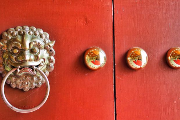 Red door Lion Decoration