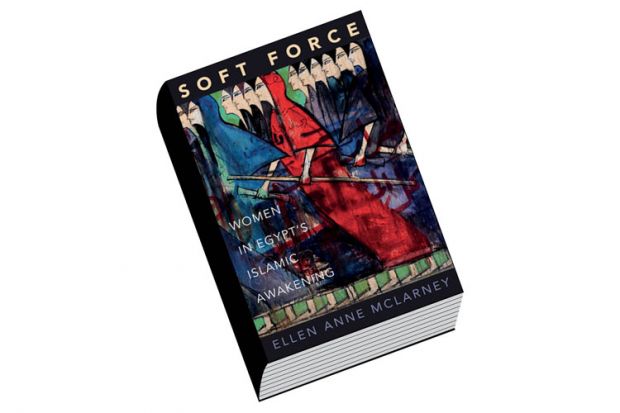 Review: Soft Force, by Ellen Anne McLarney