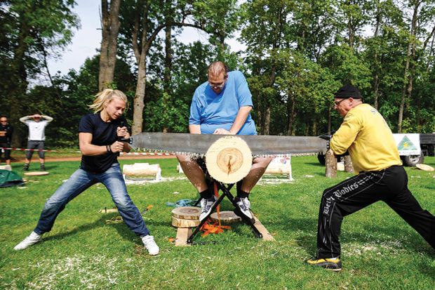 Sawing tree trunk Sawing tree trunk