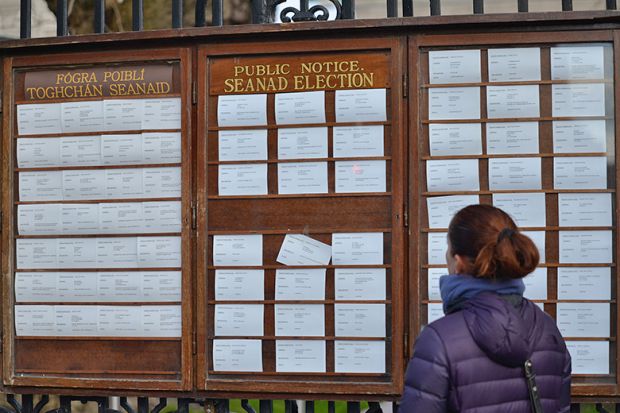 A women is looking at the Seanad Election public notice at the Leinster House fence, Ireland. A women is looking at the Seanad Election public notice at the Leinster House fence, Ireland.