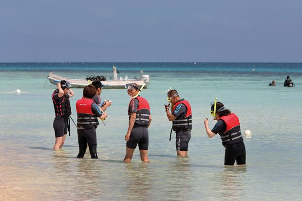 snorkellers Snorkellers