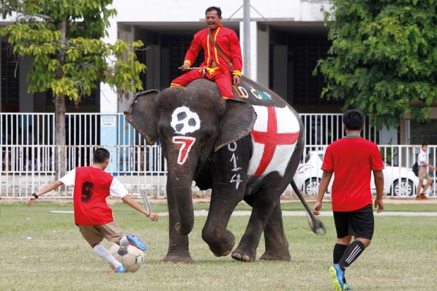 Thai students play soccer with elephants, 2014 Thai students play soccer with elephants, 2014