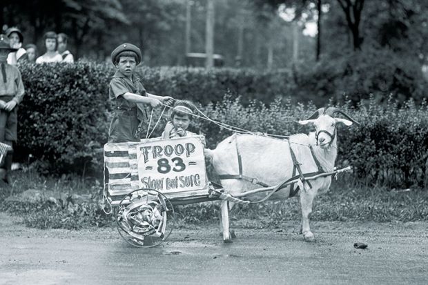 Goat pulls young boys’ cart in the Tacoma festival Goat pulls young boys’ cart in the Tacoma festival