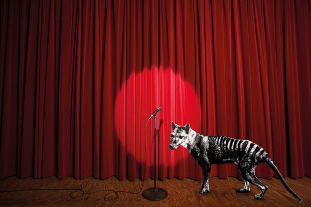 Tasmanian tiger on stage Tasmanian tiger on stage