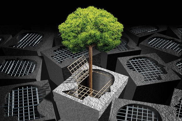 tree breaking out of cage tree breaking out of cage