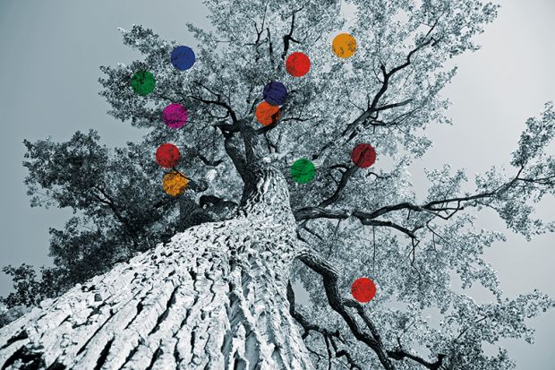 Tree