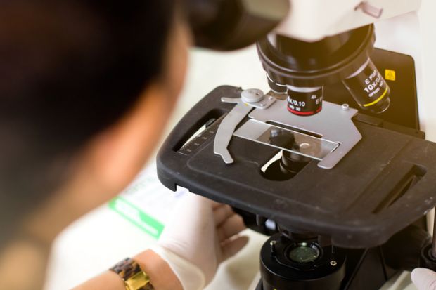 Under the microscope