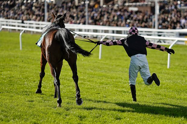 Harry Skelton dances up the track with Walk in Clover after being unseated at Cheltenham, England on 27 October 2023. As an illustration of who controls areas of research as UKRI handed more cash for betting-related research.