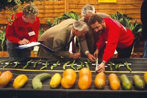 measuring vegetables measuring vegetables