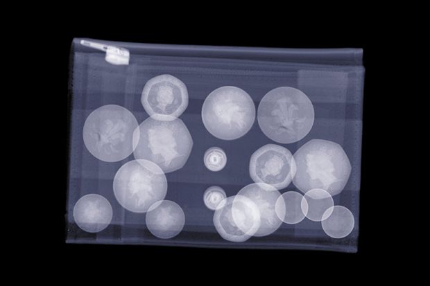 X-ray of purse filled with UK coins, illustrating that universities could be required to be transparent in how they spend money received in quality-related (QR) funding from the Research Excellence Framework.