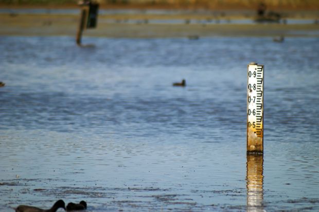 water depth indicator in a flooded swamp