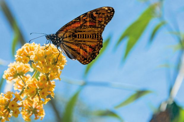 Butterfly with circuit board wings perching on flowers to illustrate AI will help staff and students, research and education to flourish