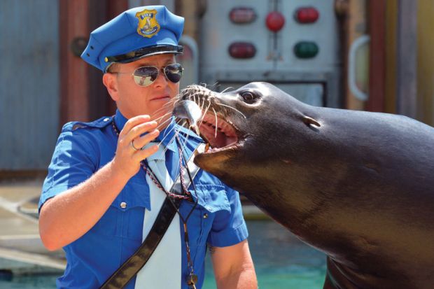 Trainer feeding an Australian sea lion in Sea World Gold Coast Australia as a metaphor for bite-sized courses provide sustenance in Australia