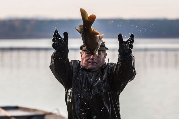  A fisherman catching a big fish to illustrate Delaware ecologist caught in fish research misconduct net