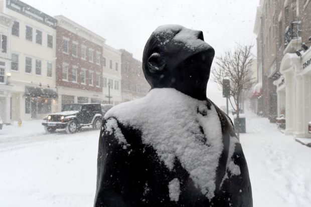A snow covered sculpture is seen in Greenwich, Connecticut  A snow covered sculpture is seen in Greenwich, Connecticut to illustrate Yale lawsuit signals US struggles on mental health exclusions