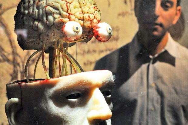 A life-like dissection of a head to show the head and cranial nerves   A life-like dissection of a head to show the head and cranial nerves to illustrate ‘Cognitive dissonance’ blamed for academics’ mental health woes