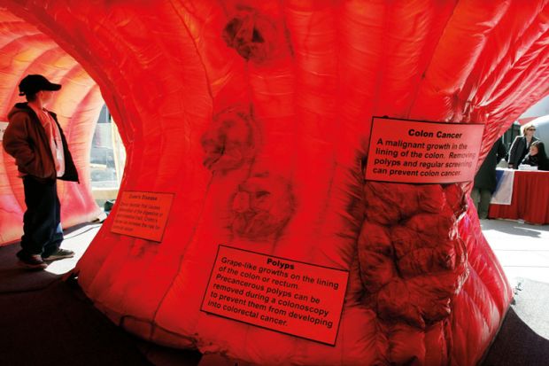 A boy stands inside an interactive replica of a human colon Boy stands inside an interactive replica of a human colon to illustrate Funding and careers structures are holdi ng back early cancer detection