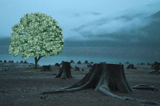 Tree filled with money with other trees cut down. Tree filled with money with other trees cut down.