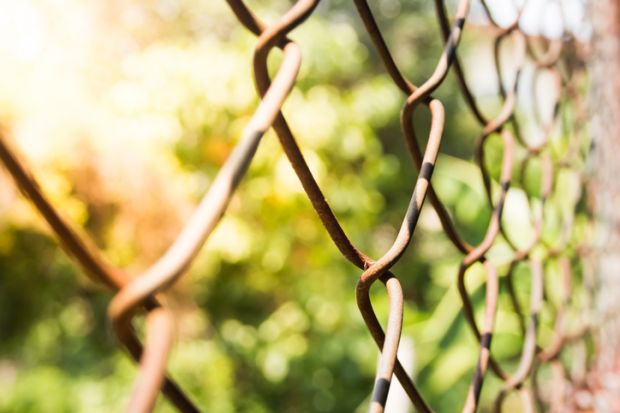 Wire fence Wire fence