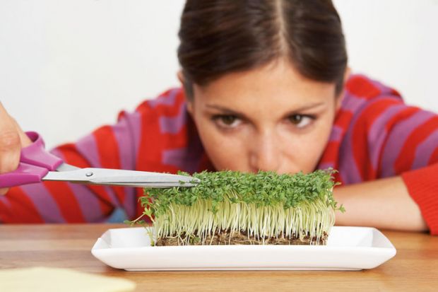Woman trimming sprouts with scissors Woman trimming sprouts with scissors