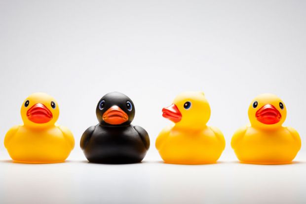 Yellow and black rubber ducks Yellow and black rubber ducks