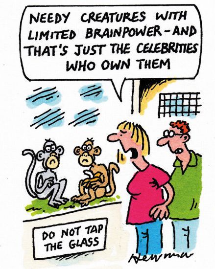 Cartoon 6 June 2019 Cartoon 6 June 2019