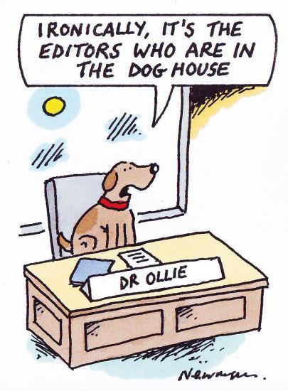 Dog cartoon Dog cartoon