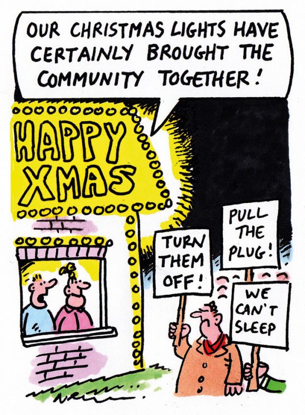 The week in higher education cartoon (24/31 December 2015)