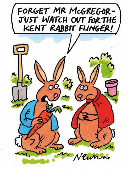 The week in higher education cartoon (21 June 2018) The week in higher education cartoon (21 June 2018)