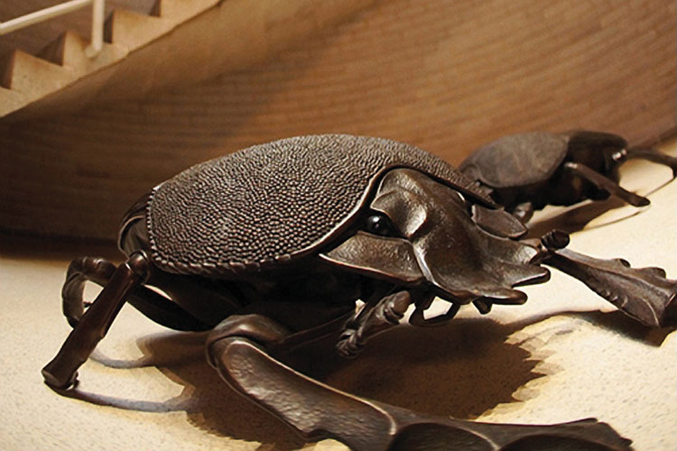 Three Dung Beetles, by Wendy Taylor Three Dung Beetles, by Wendy Taylor